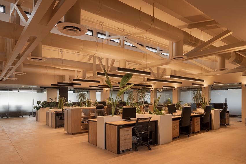 canyon market offices 4