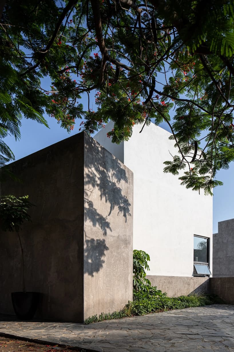 porosity and shelter casa galvez reimagines the vernacular 6