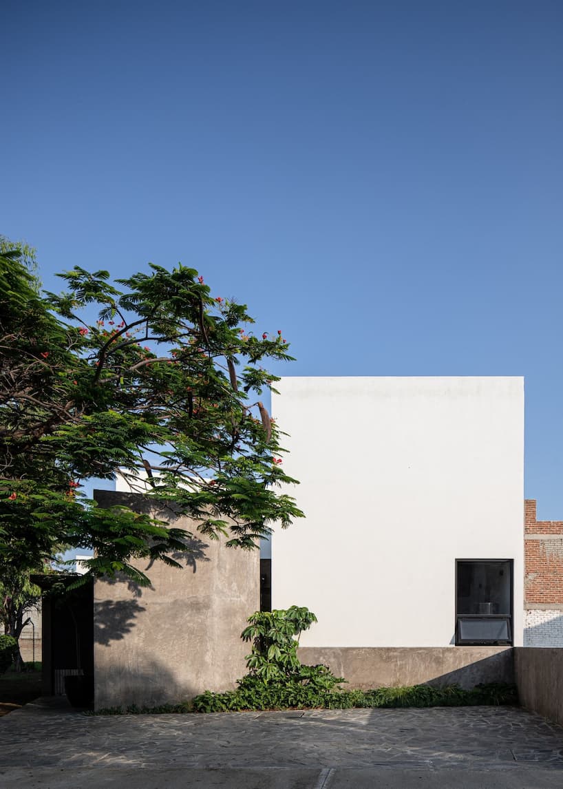 porosity and shelter casa galvez reimagines the vernacular 7