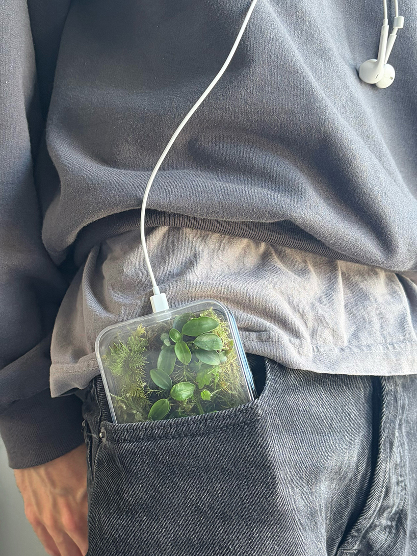 this transparent phone case grows moss and plants inside - 4