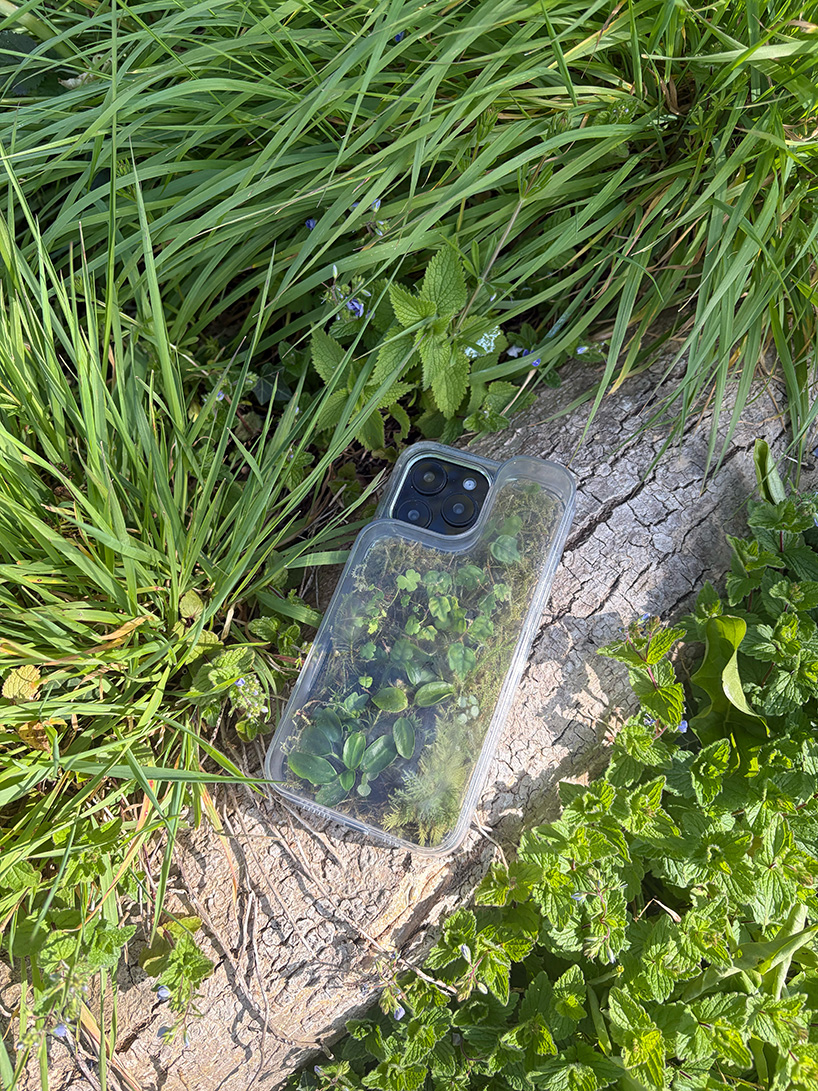 this transparent phone case grows moss and plants inside - 8