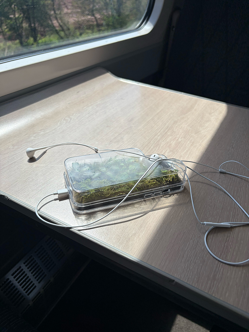 this transparent phone case grows moss and plants inside - 6