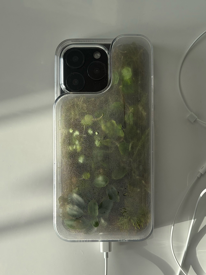 this transparent phone case grows moss and plants inside - 7
