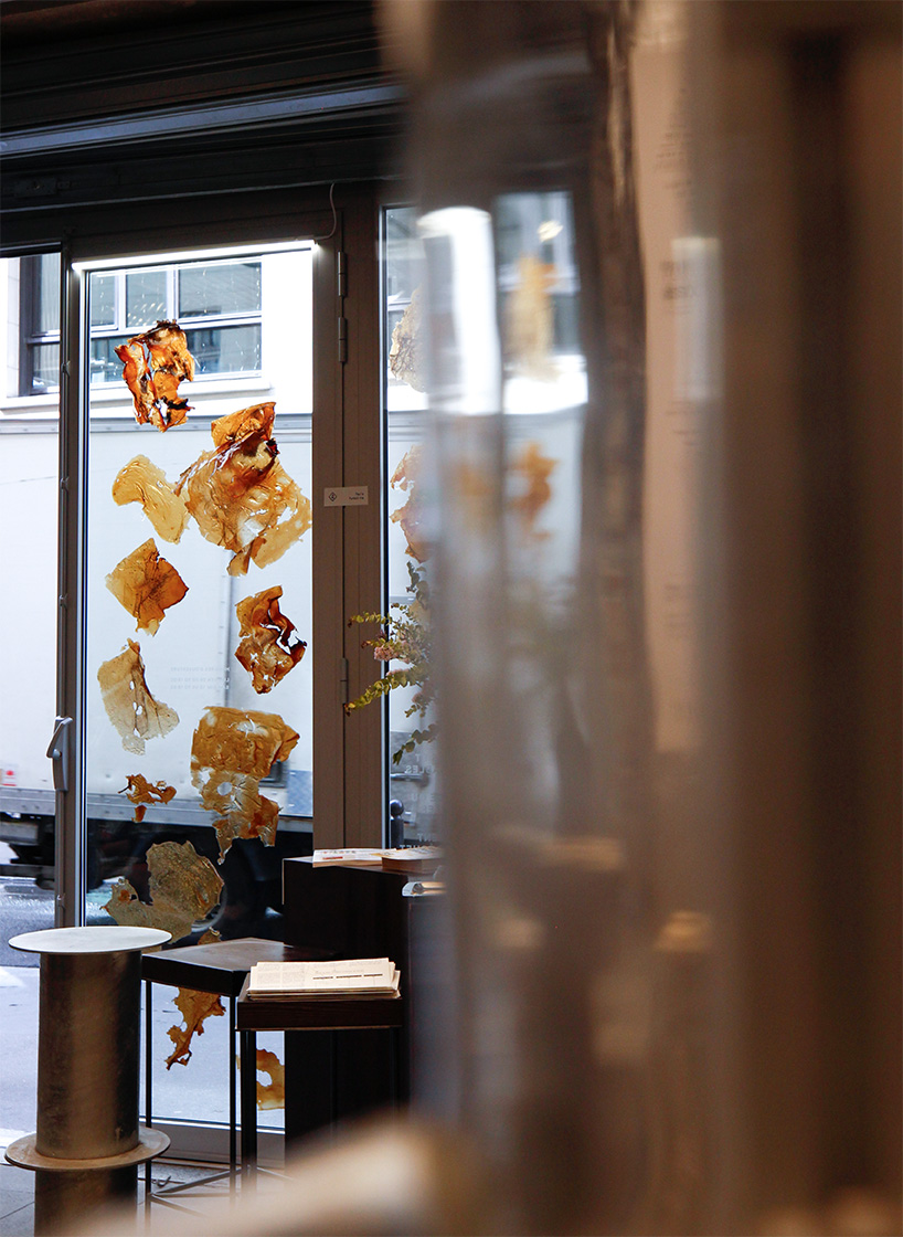 biomaterial designers reimagine the future cafe 5