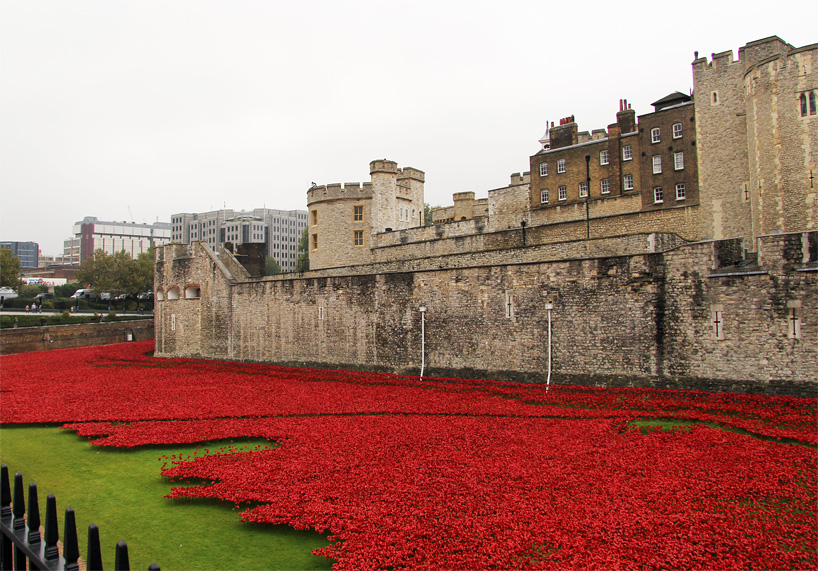 remembrance poppy tower of london for sale