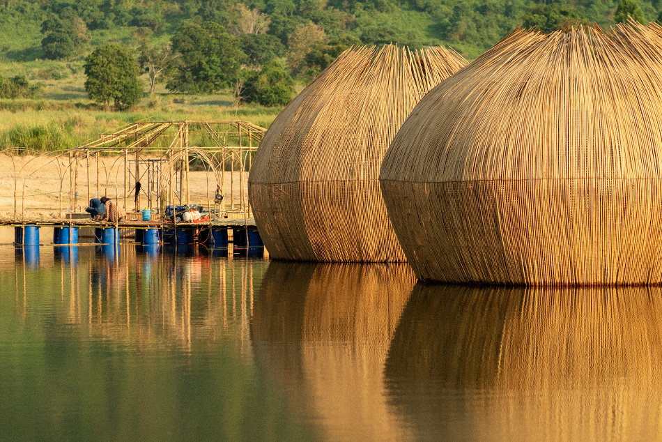 ab rogers wonderfruit festival pattaya thailand designboom