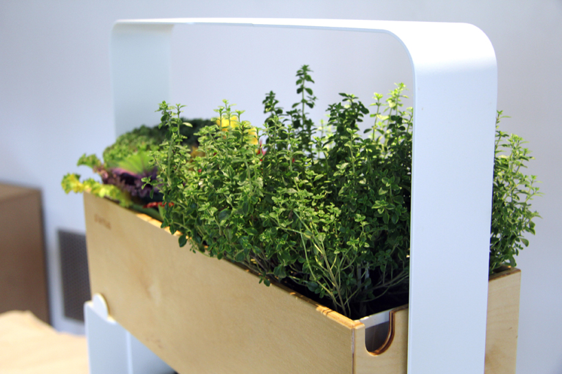 attila nemes figurative sense budapest design week 2014 designboom