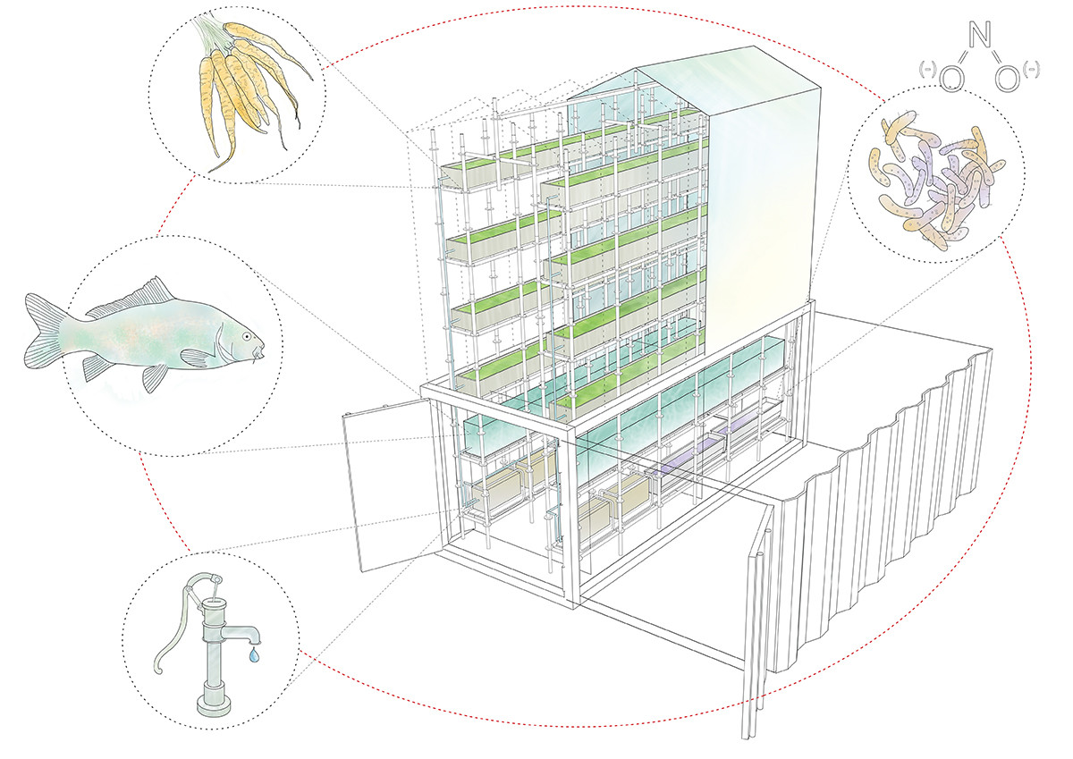 BCHO architects\' proposal for the korean pavilion at the 2015 expo milan
