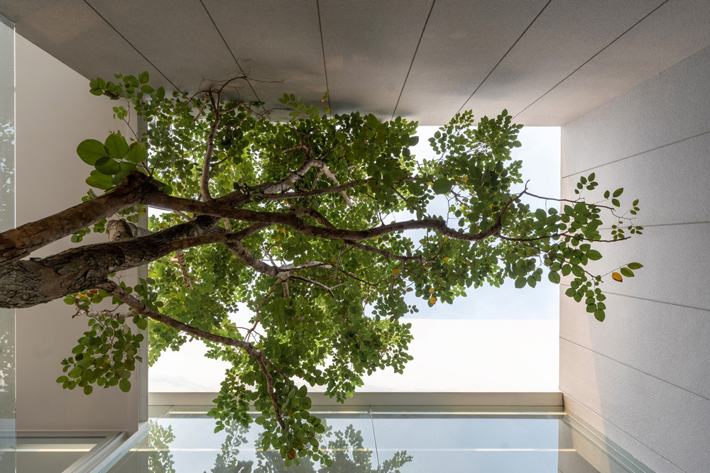looklen-architects-mit-chit-house-thailand-designboom-d