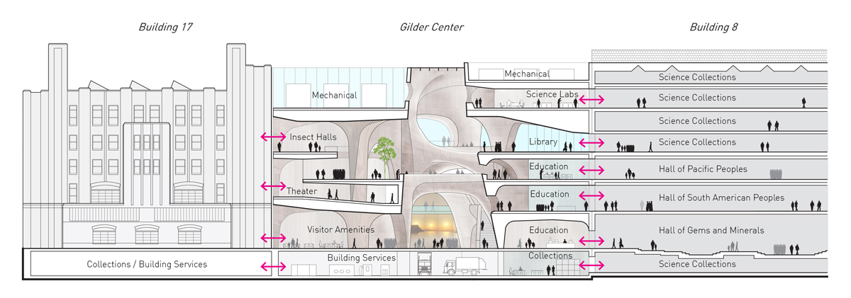 jeanne gang studio gang american museum of natural history extension richard gilder center designboom