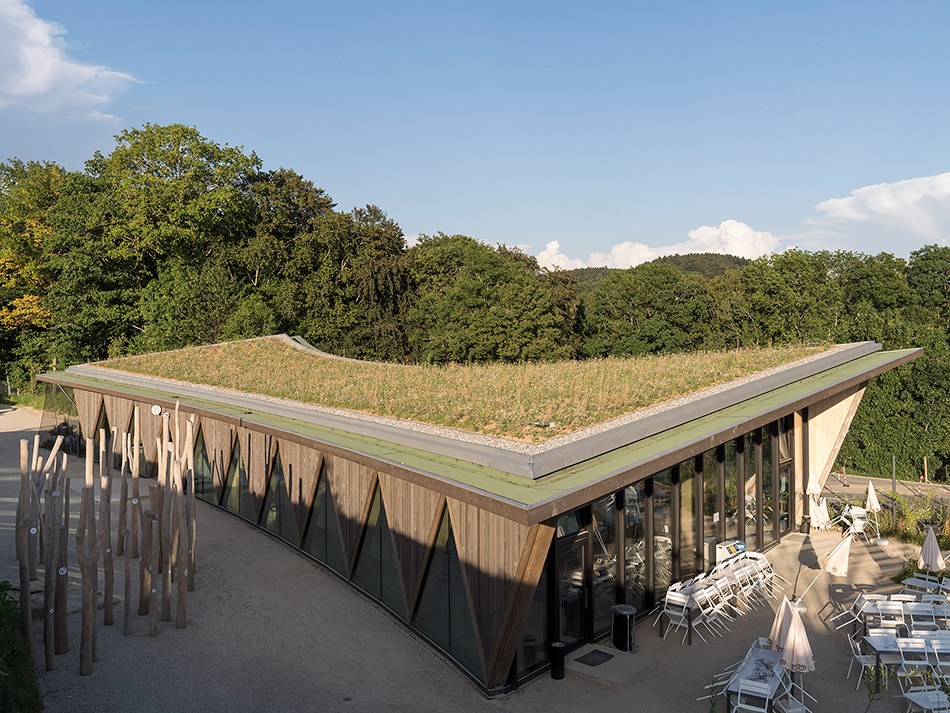 localarchitecture zoo la garenne public pavilion le vaud switzerland designboom