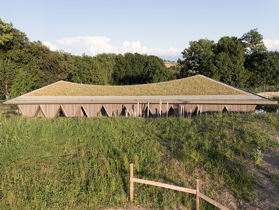 localarchitecture zoo la garenne public pavilion le vaud switzerland designboom