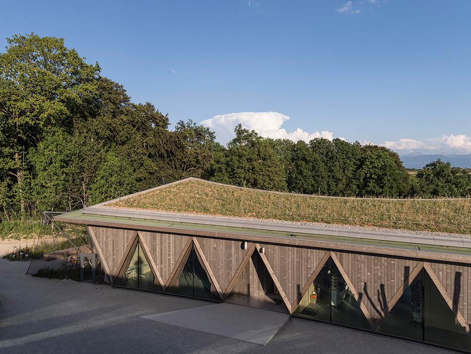 localarchitecture zoo la garenne public pavilion le vaud switzerland designboom
