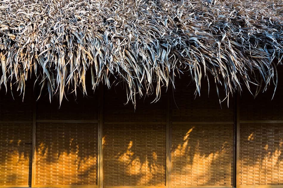 MM++ architects tropical holiday house woven sliding panels vietnam designboom