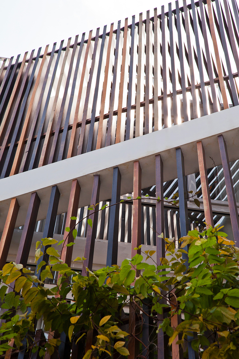 MM++ micro town house 4x8m phu nhuan ho chi minh city vietnam designboom