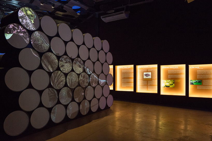museu-da-natureza-brazilian-nature-museum-designboom-51