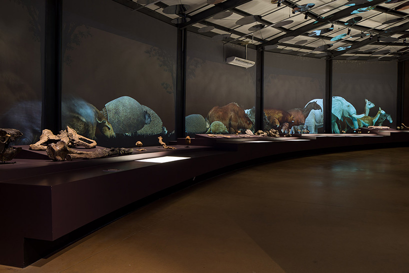 museu-da-natureza-brazilian-nature-museum-designboom-52