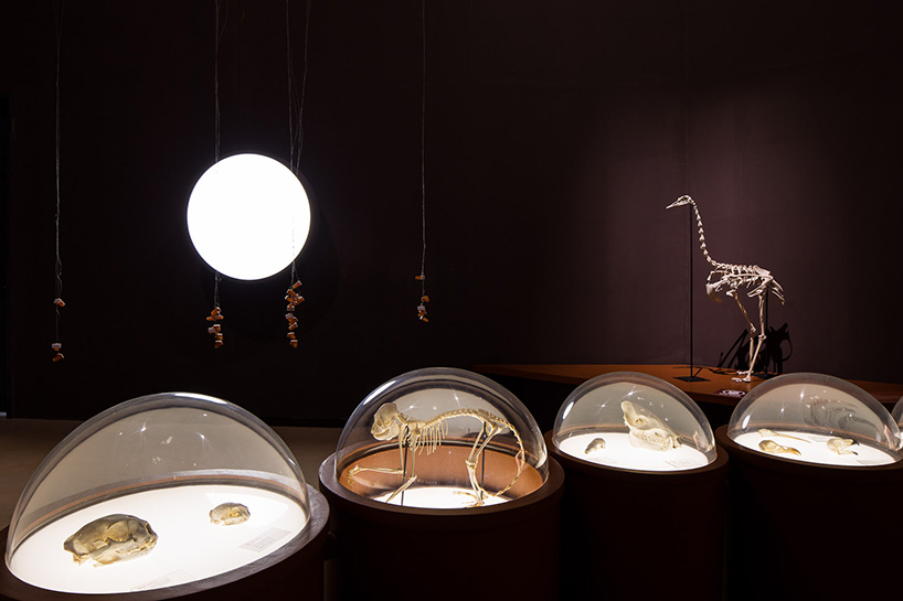 museu-da-natureza-brazilian-nature-museum-designboom-53