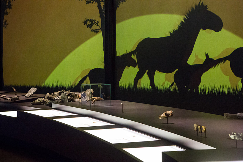 museu-da-natureza-brazilian-nature-museum-designboom-58