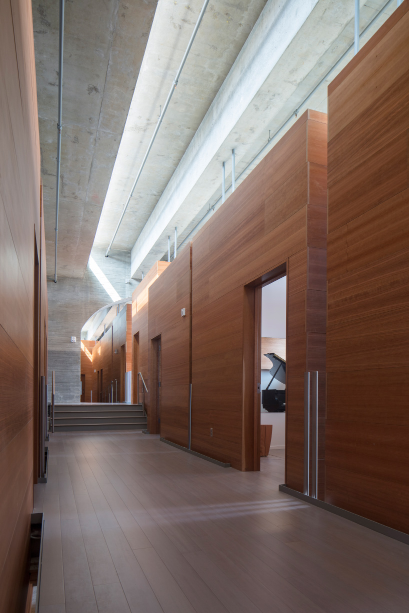 steven holl connects trio of arts buildings at princeton university with underground forum designboom