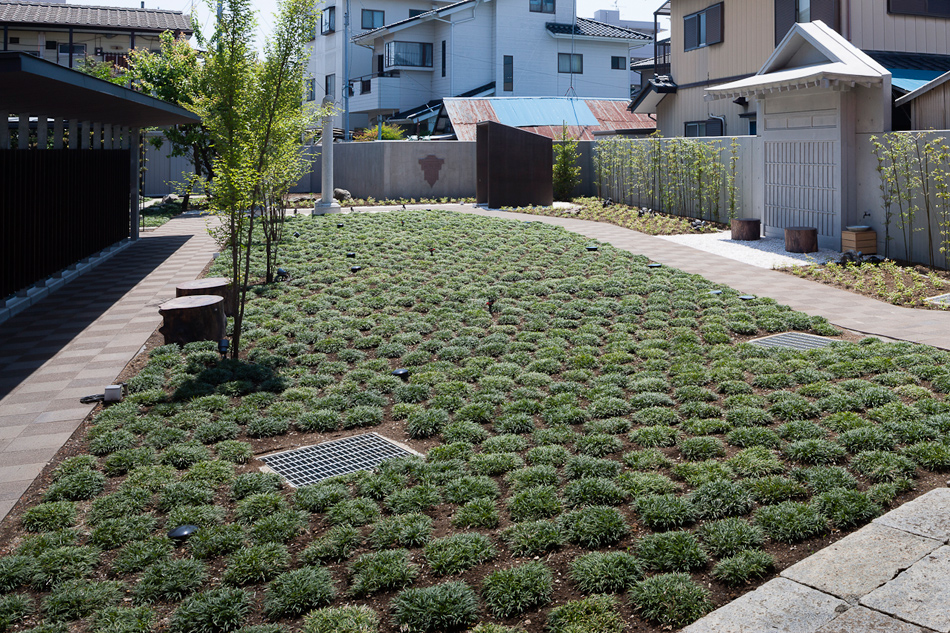 taku sakaushi OFDA associates orange pine gallery designboom
