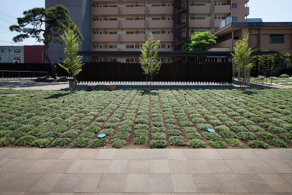 taku sakaushi OFDA associates orange pine gallery designboom