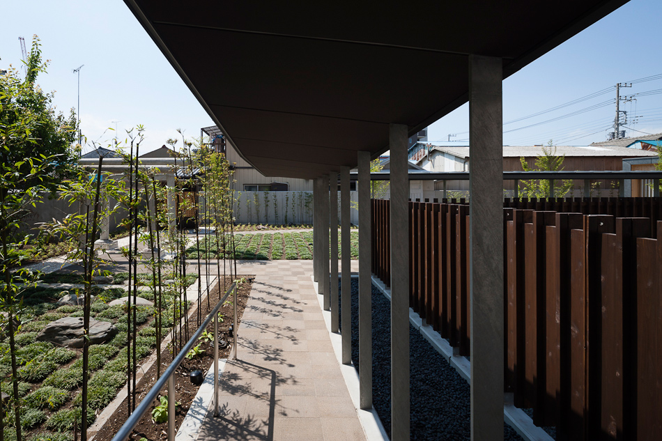 taku sakaushi OFDA associates orange pine gallery designboom
