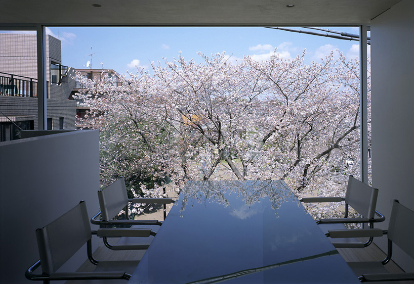 Smaller Japanese House with whool cherry blossoms on top of hill