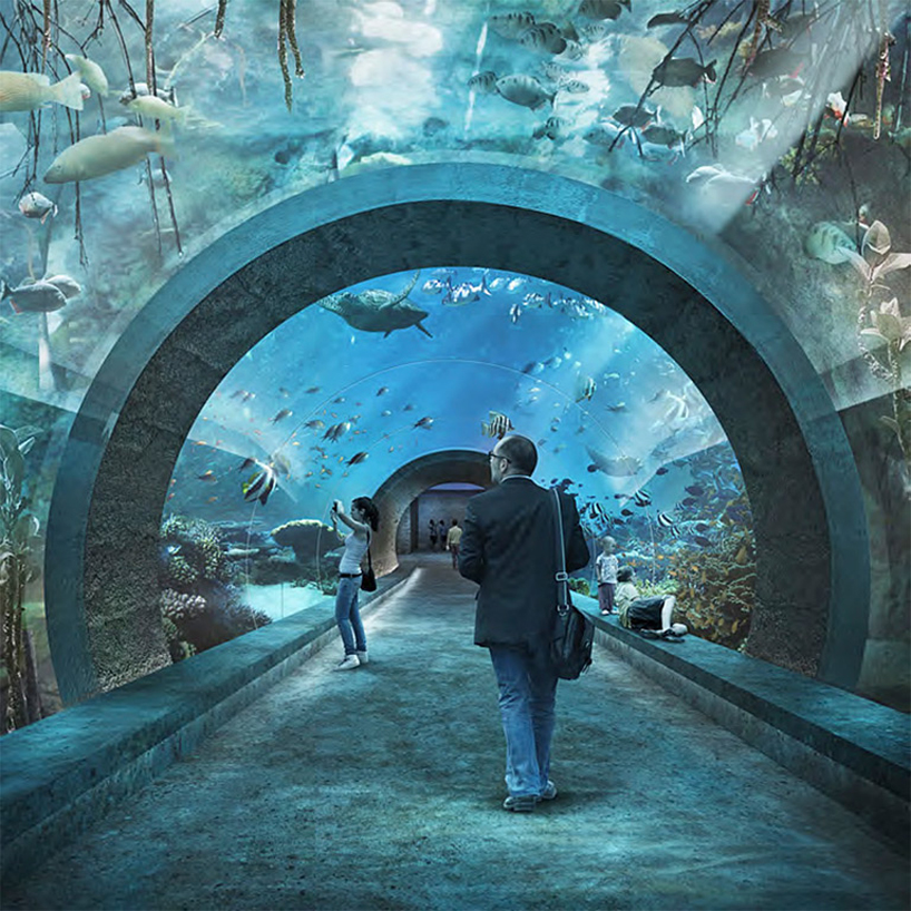 boltshauser architektenn basel zoo aquarium