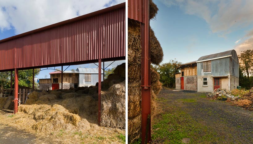 the cowshed collective brings sustainability to social farming