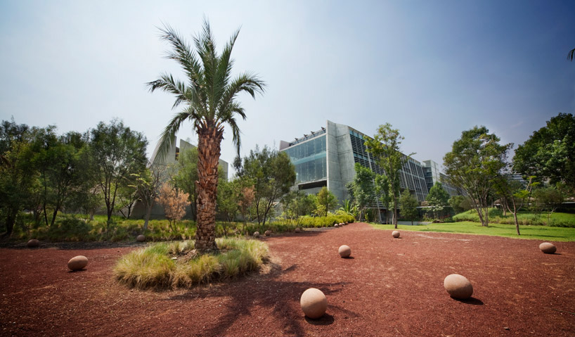 alberto kalach interview