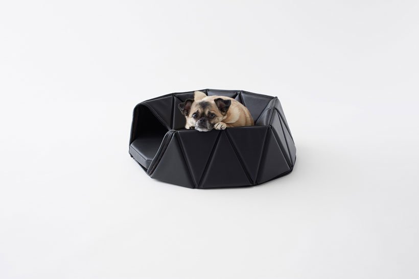nendo heads or tails dog accessories nendo throws one to the dogs with heads or tails accessories - 3