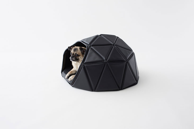 nendo heads or tails dog accessories nendo throws one to the dogs with heads or tails accessories - 2