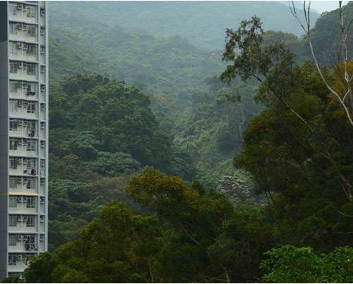 manuel alvarez diestro captures hong kong's surreal landscape