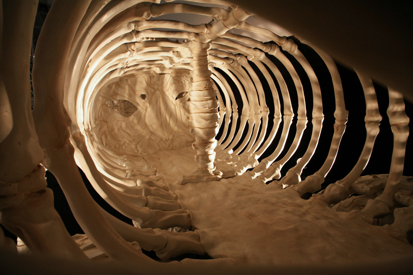 bone-vehicles-by-jitish-kallat-designboom-08