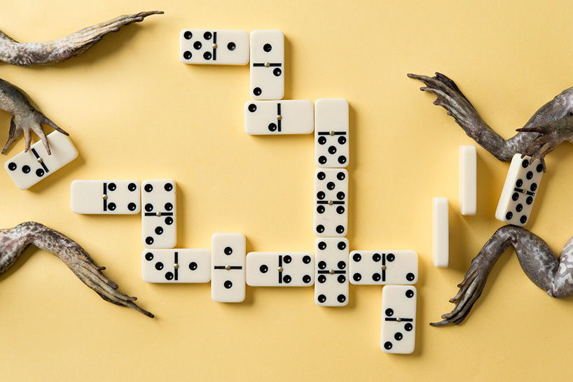 davide-luciano-and-claudia-ficca-cold-feet-designboom-05