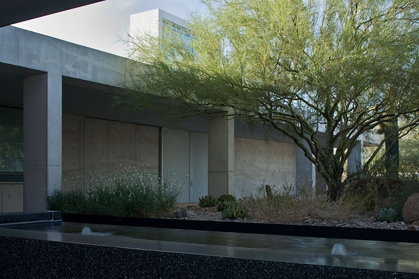 deserthouse_masastudio_db_15