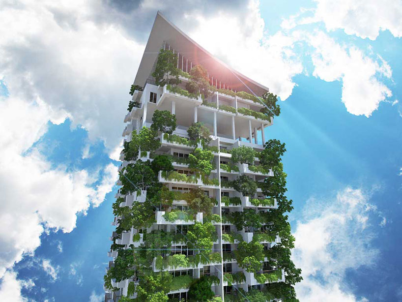 clearpoint residencies cultivate vertical gardens in sri lanka