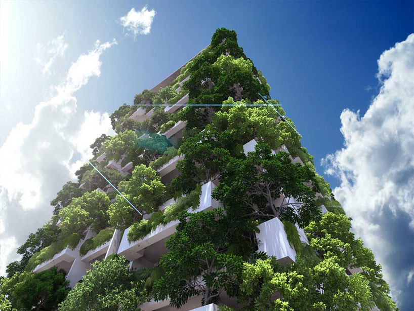 clearpoint residencies cultivate vertical gardens in sri lanka
