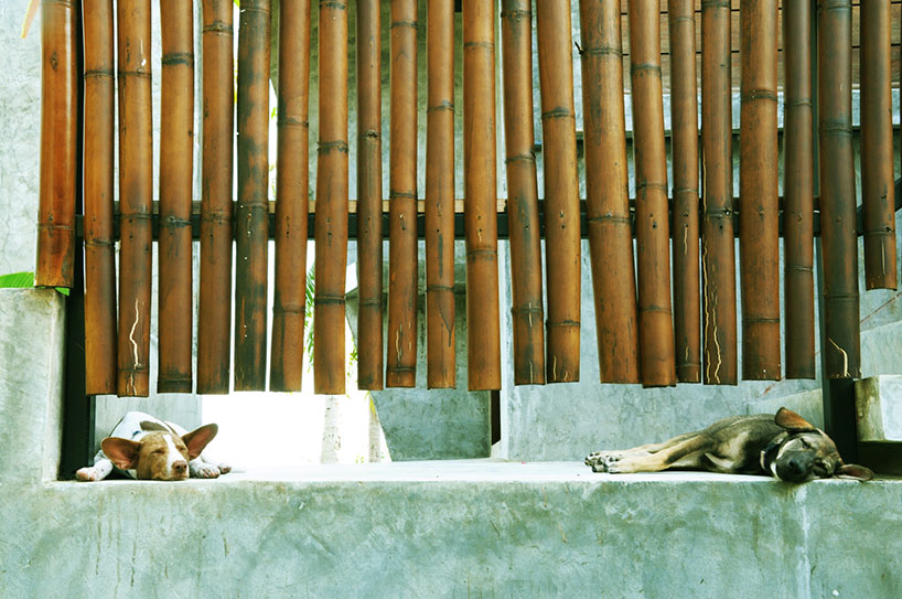 phaganhouse_npda-studio_db_05