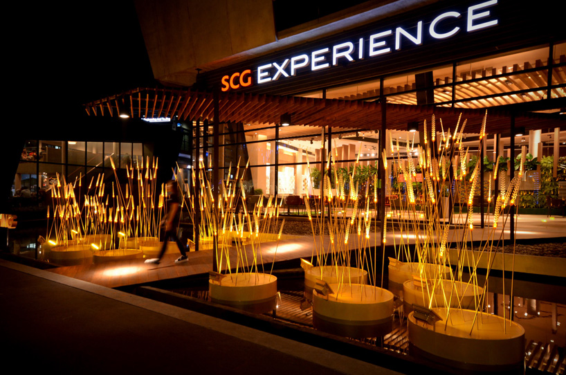 lumunious royal rice field by apostrophy’s 