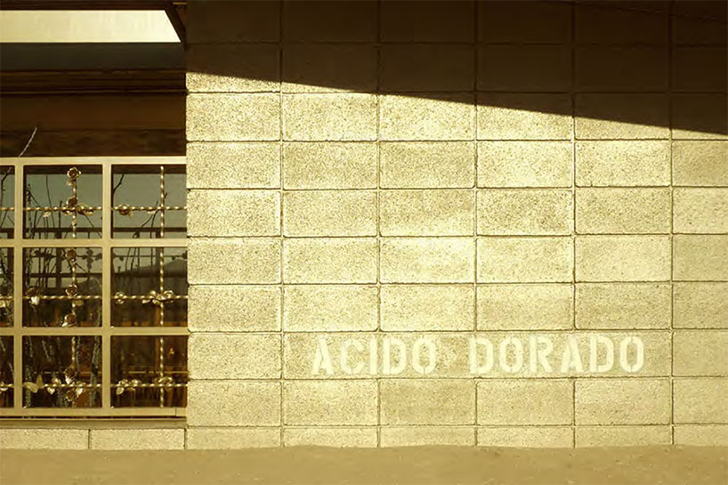 acido-dorado_robert-stone_db_16