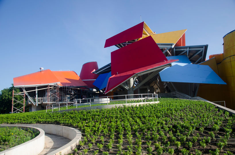 frank gehry biomuseum in panama designboom