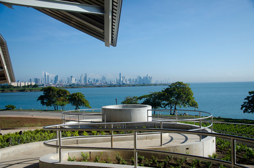 frank gehry biomuseum in panama designboom