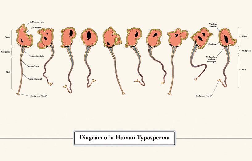 oded_ezer_interview_14