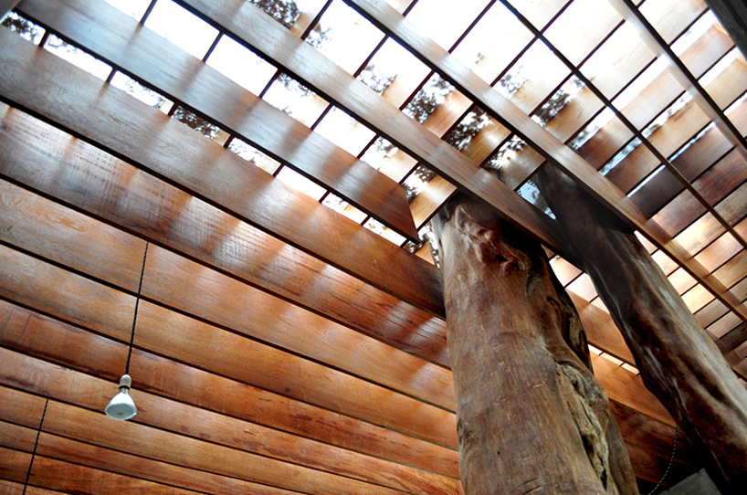 ghezzi-novak-tree-kitchen-bungalow-designboom04