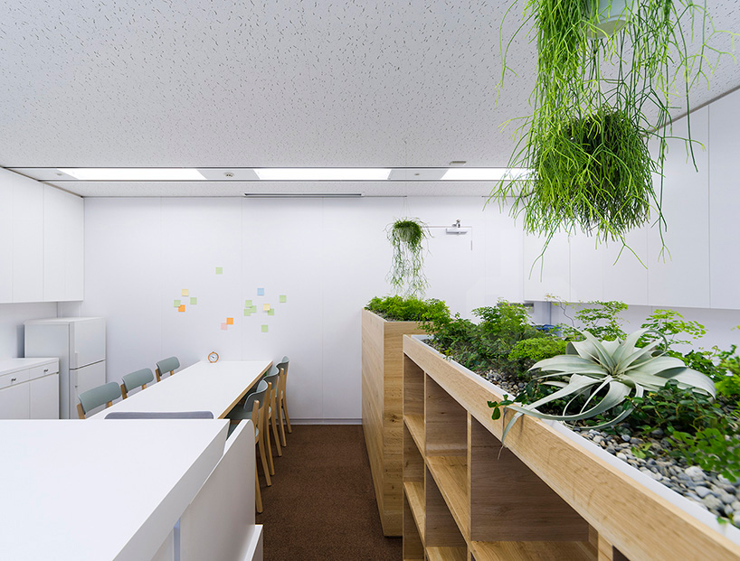 naoya-matsumoto-koshida-clinic-office-designboom02