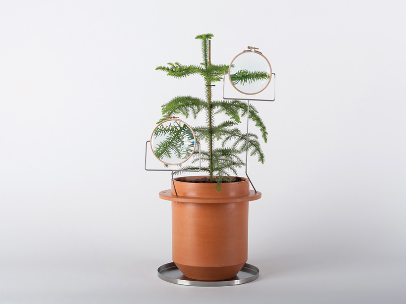 dossfiorito the phytophiler designboom 