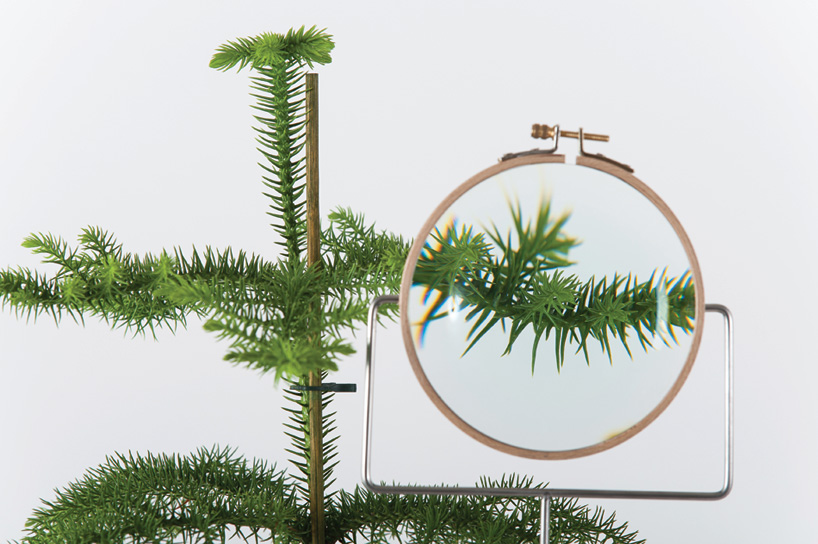 dossfiorito the phytophiler designboom 