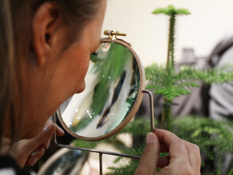 dossfiorito the phytophiler designboom 